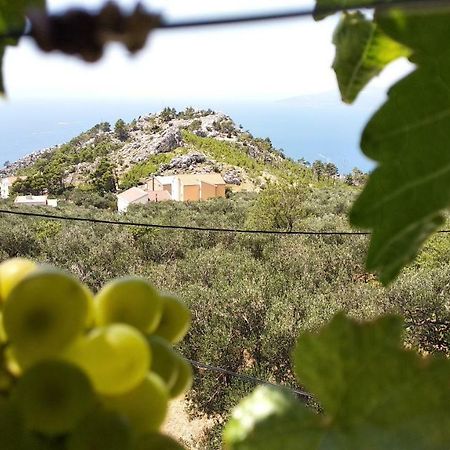 Apartment Ivo Veliko Brdo Makarska Dış mekan fotoğraf