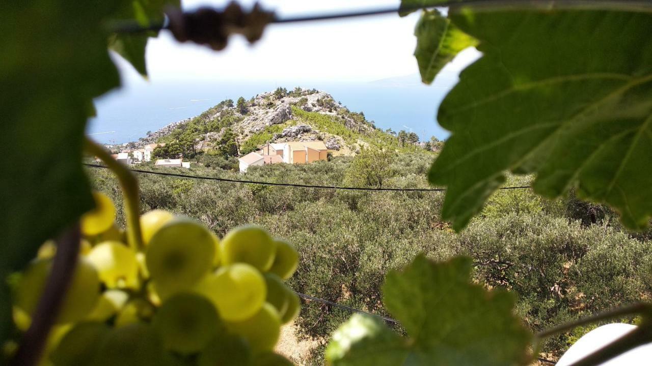 Apartment Ivo Veliko Brdo Makarska Dış mekan fotoğraf